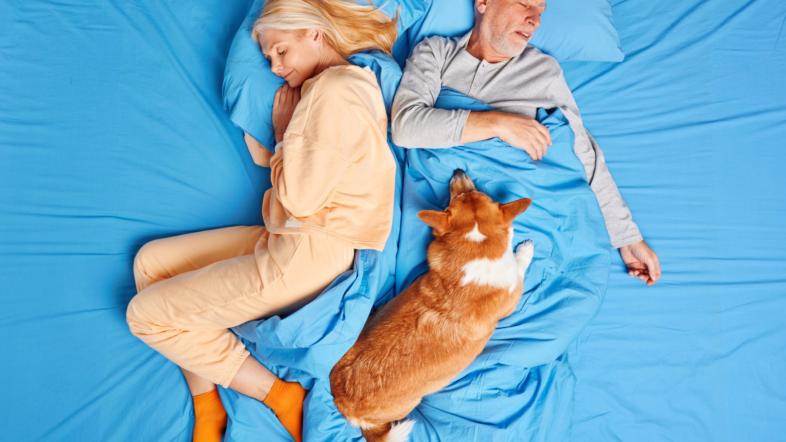Bed time routine. View from above of senior couple sleep calm together with dog spend time at cozy bedroom on comfortable bed enjoy lazy Sunday. Relax lifestyle. Getting rest your body needs