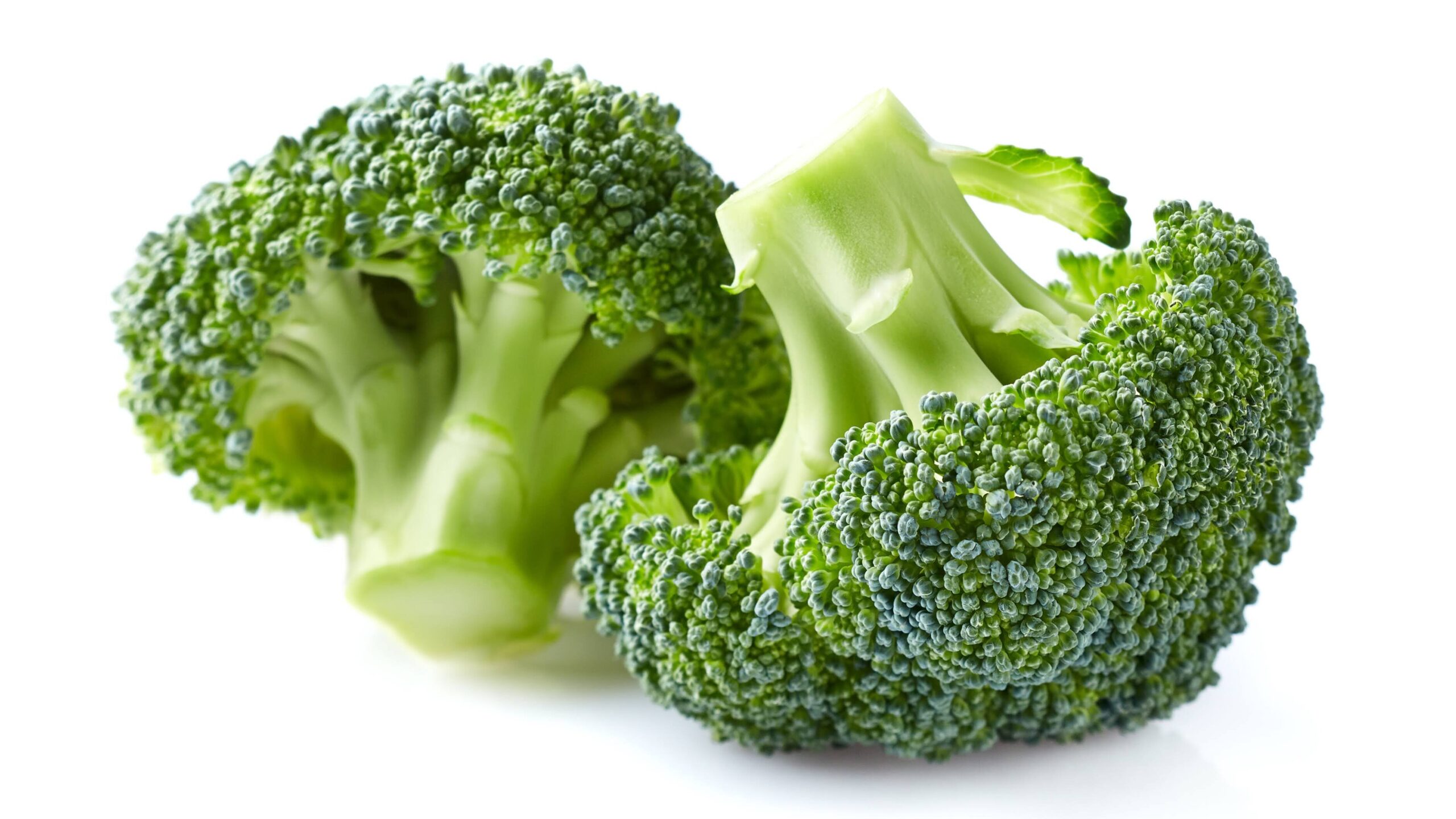 Broccoli in closeup