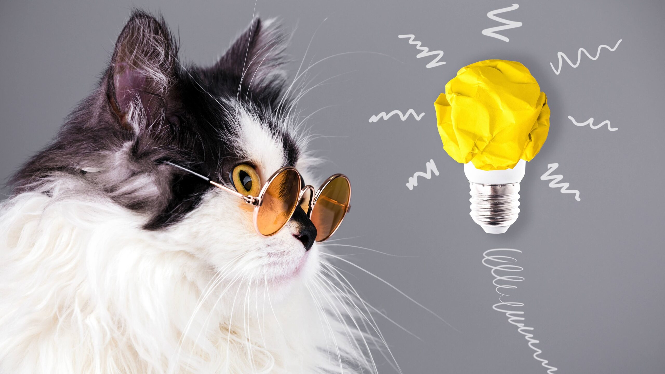 a cat with glasses looks at a light bulb from crumpled paper, concept new idea