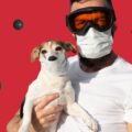 【獣医師執筆】犬の花粉症は人とは異なる！咳やくしゃみより、皮膚や耳の異常に注意しよう！