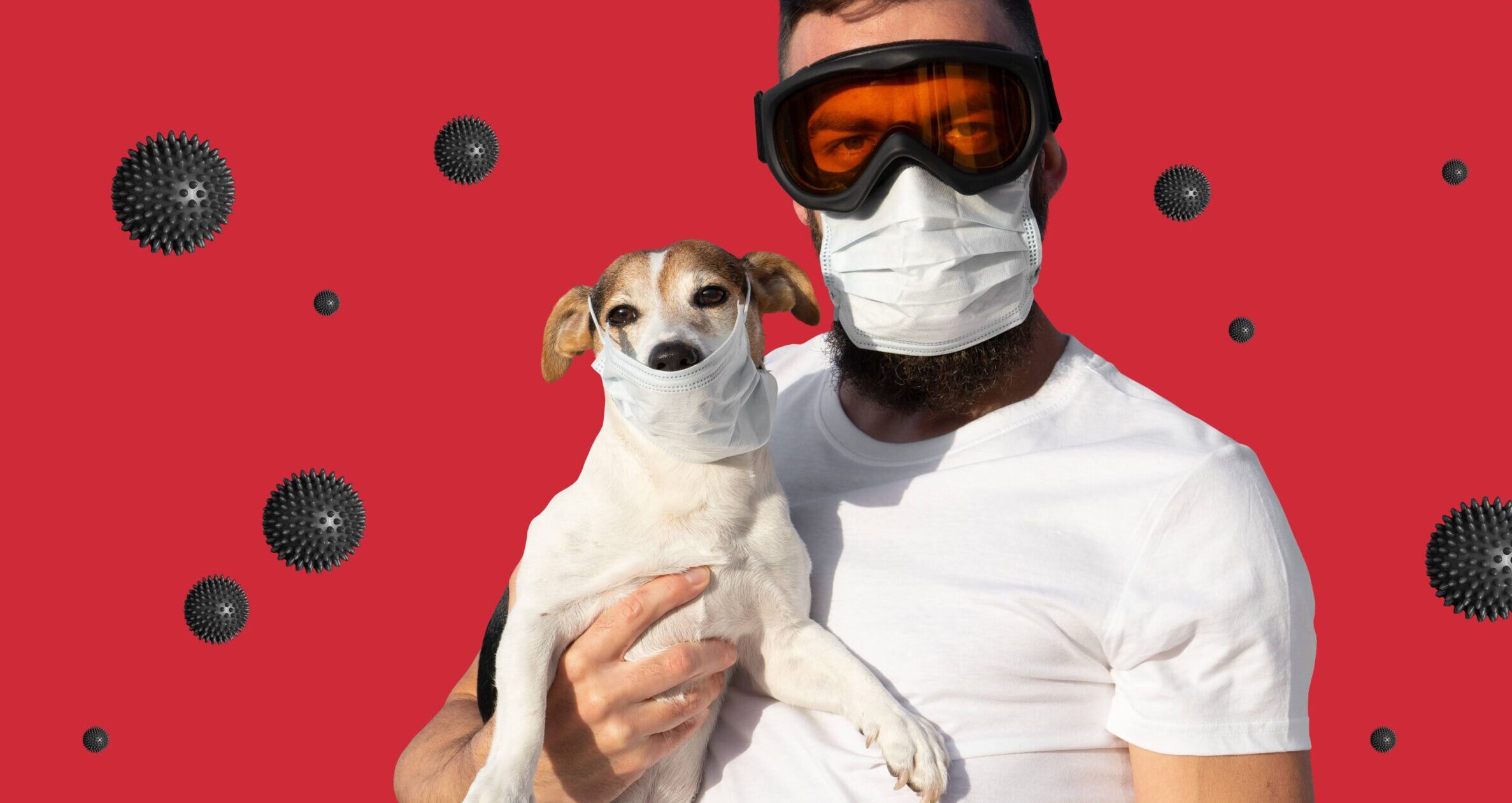 【獣医師執筆】犬の花粉症は人とは異なる！咳やくしゃみより、皮膚や耳の異常に注意しよう！