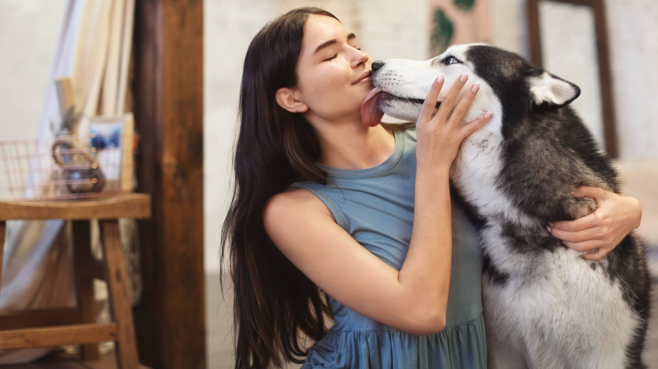 Young woman with cute Husky dog at home. Pet adoption