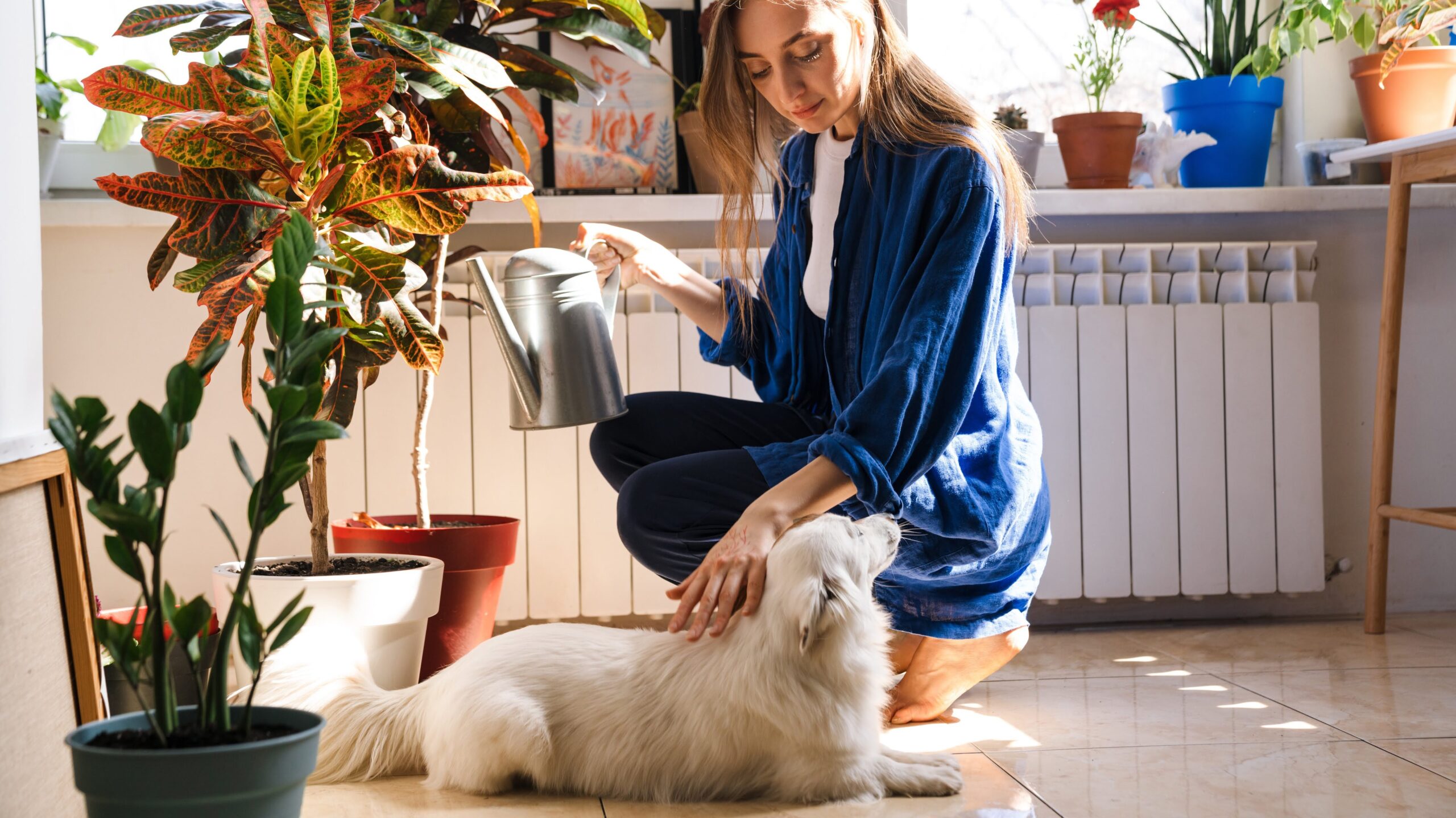 Young woman florist taking care of pot plants indoors, sitting on a floor with her dog, watering flowers