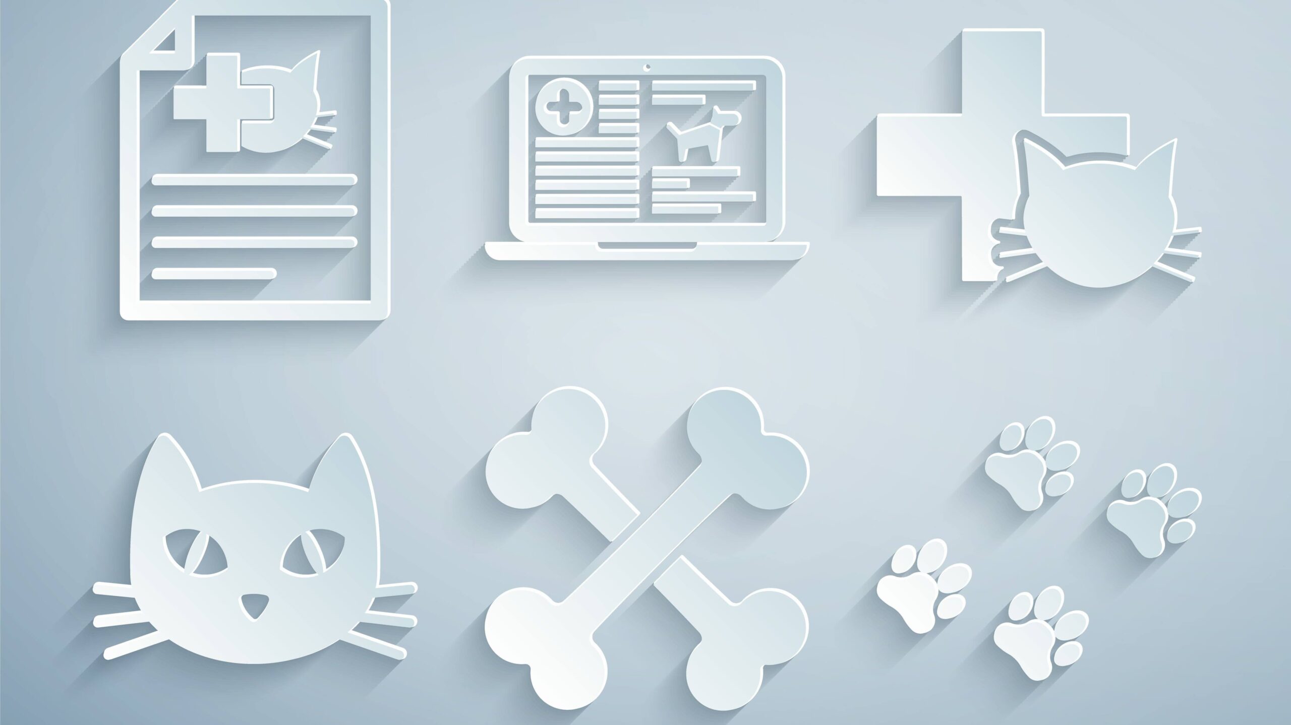 Set Crossed bones Veterinary clinic Cat Paw print Clinical record dog laptop and Medical certificate for cat icon. Vector.