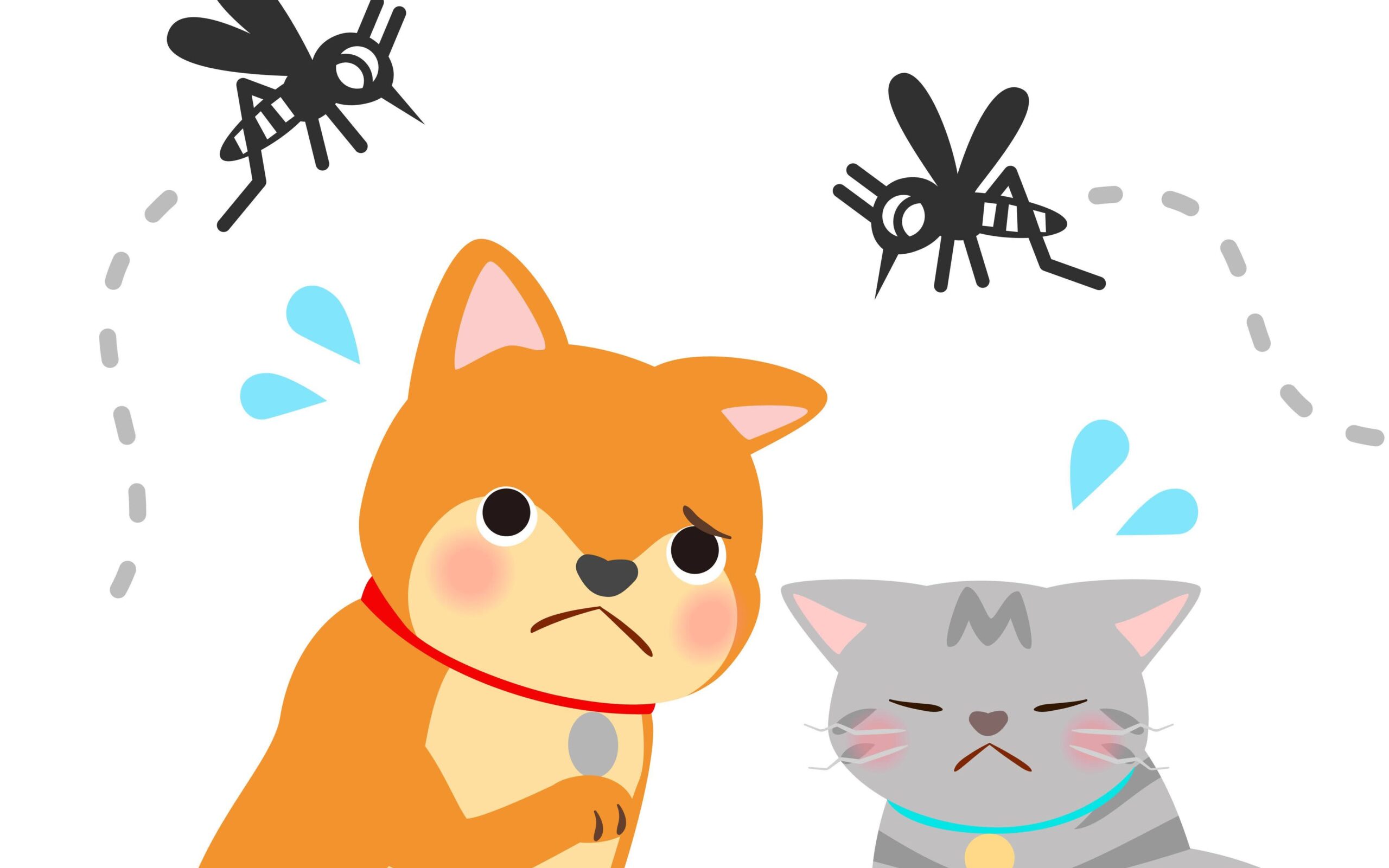 犬と猫と蚊のイラスト