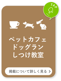 ペットカフェ ドッグラン しつけ教室 掲載について詳しく見る