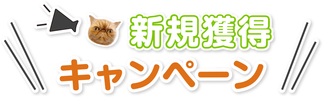 新規獲得キャンペーン