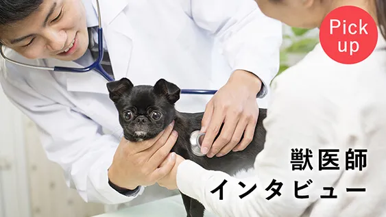 獣医師インタビュー