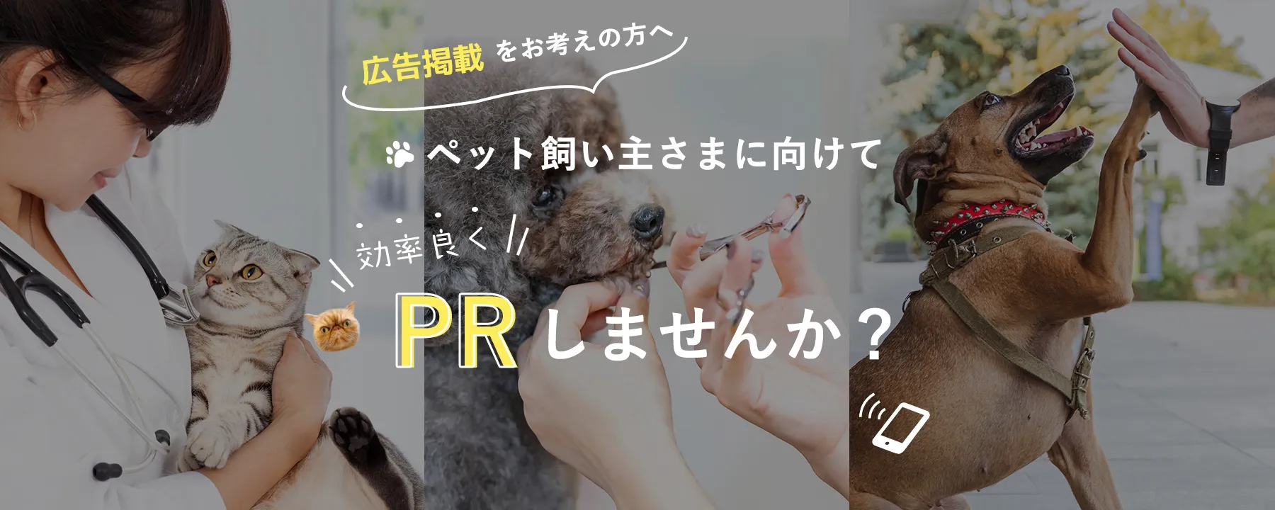 広告掲載をお考えの方へ ペット飼い主さまに向けて効率良くPRしませんか