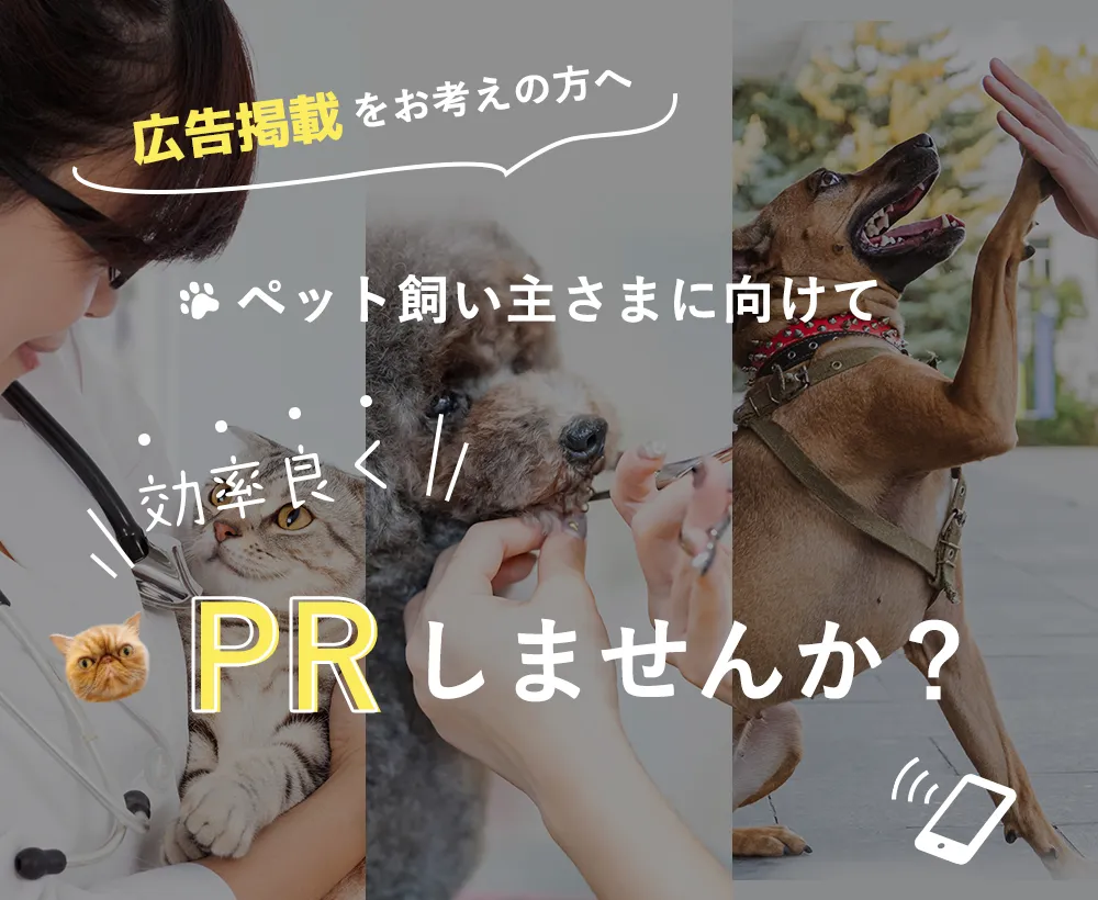 広告掲載をお考えの方へ ペット飼い主さまに向けて効率良くPRしませんか