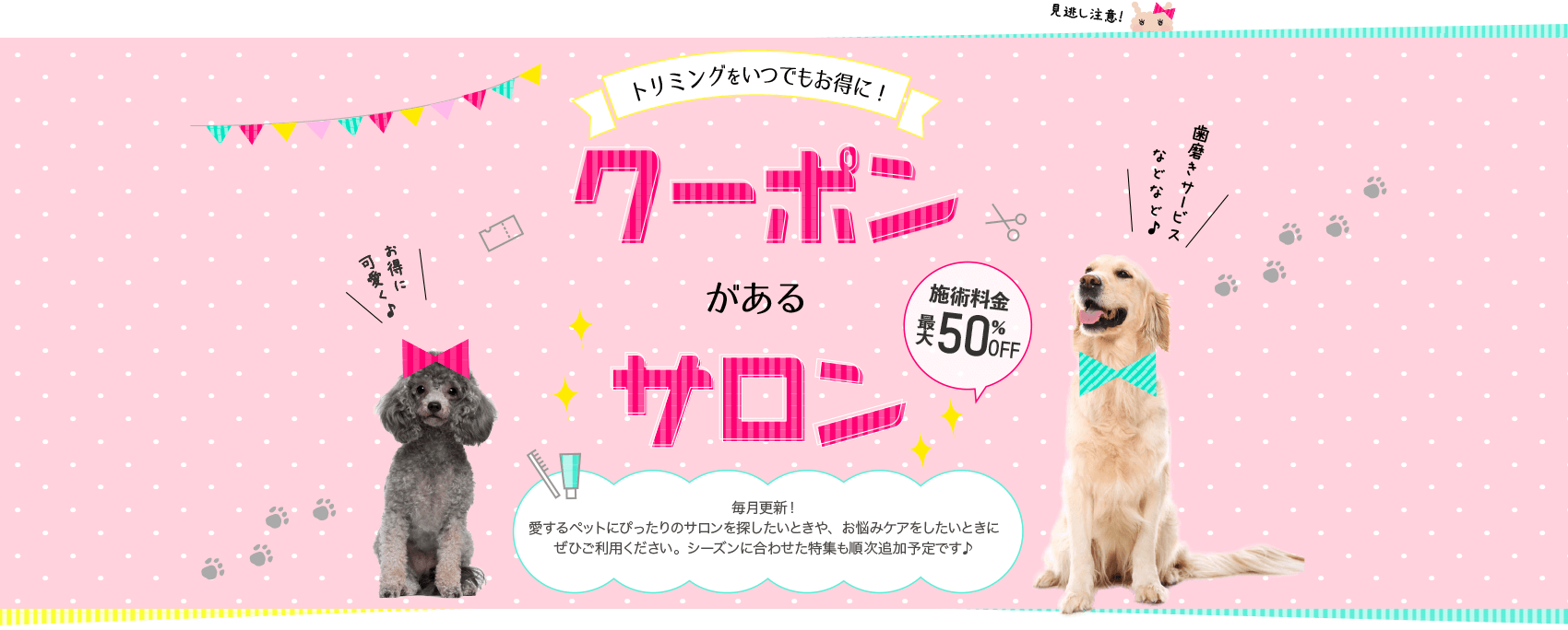 トリミングをいつでもお得に！クーポンがあるサロン