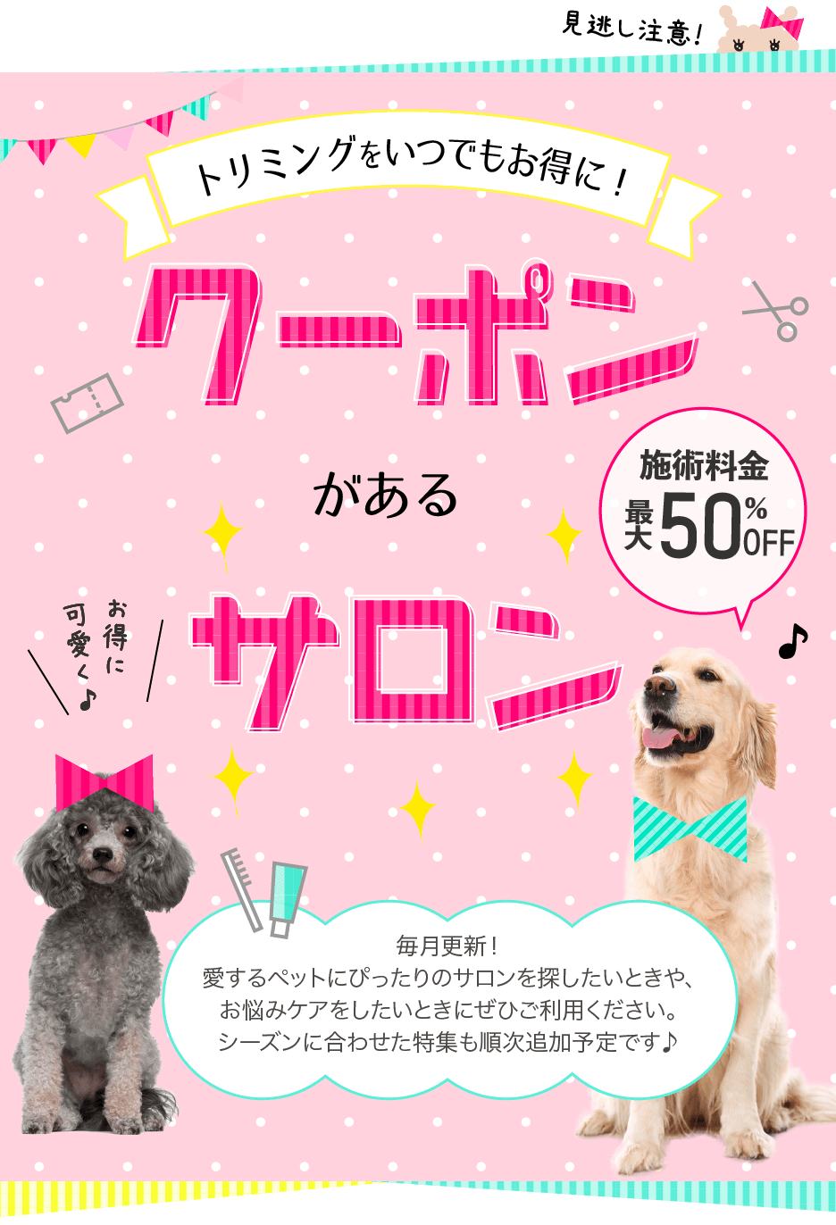 トリミングをいつでもお得に！クーポンがあるサロン
