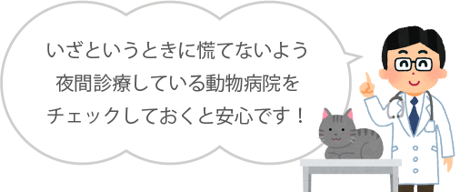 いざというときに慌てないよう<br>
夜間診療している動物病院を<br>
チェックしておくと安心です！
