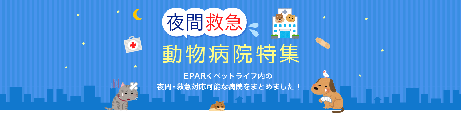 夜間・救急動物病院特集