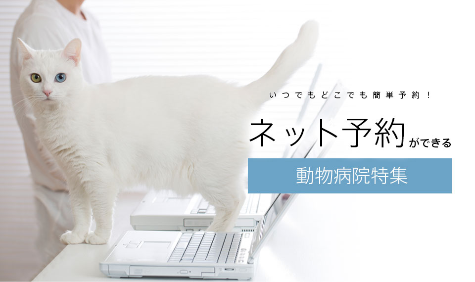 東京都でネット予約ができる動物病院特集