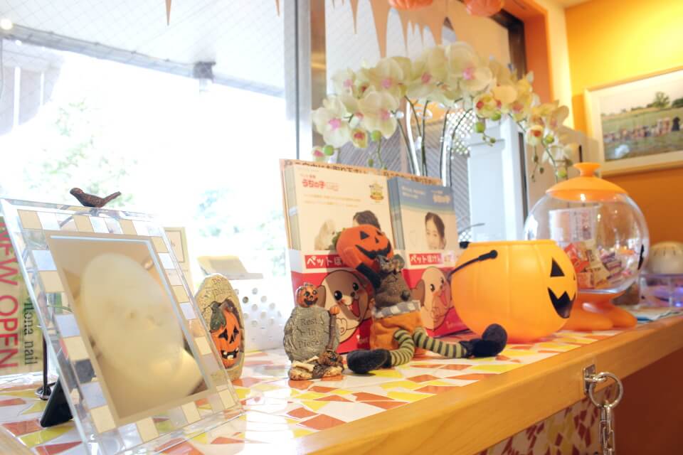 明るい窓辺です！