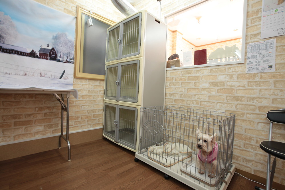 いい子に待ってるよ♪