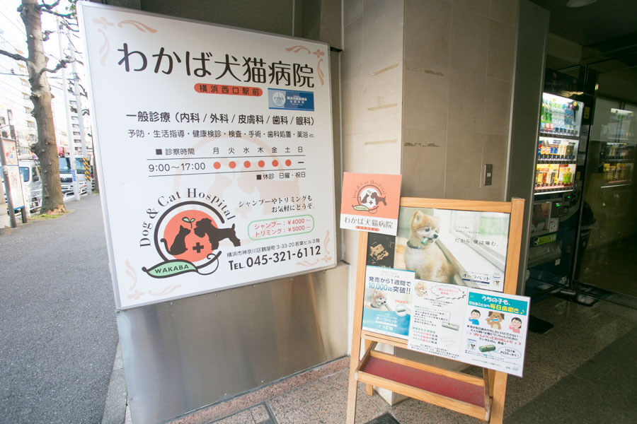 わかば犬猫病院 横浜西口駅前外観写真