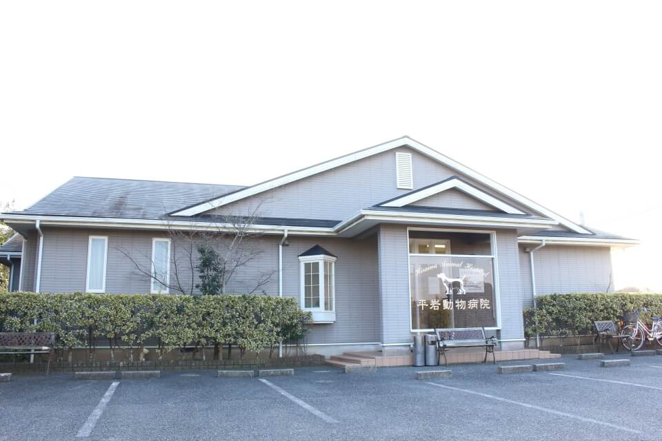 いすみ動物病院 千葉県いすみ市 Eparkペットライフ