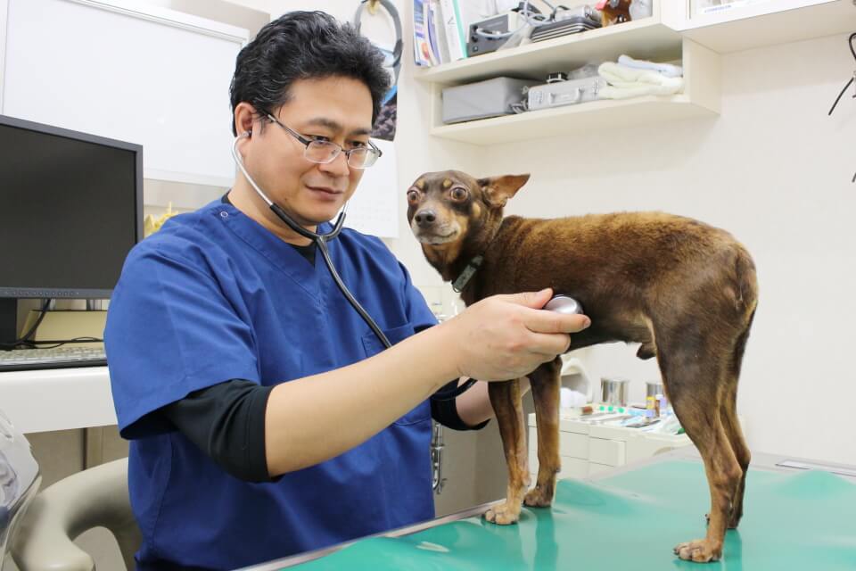 いすみ動物病院 千葉県いすみ市 Eparkペットライフ