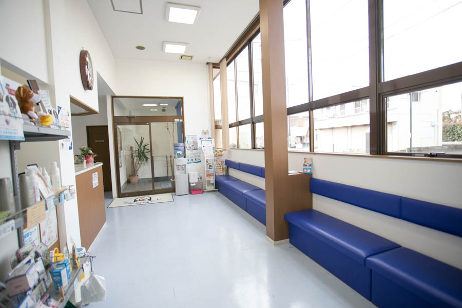 動物病院 ブン動物病院(坂戸市)(動物病院)の施設情報 | EPARK ...