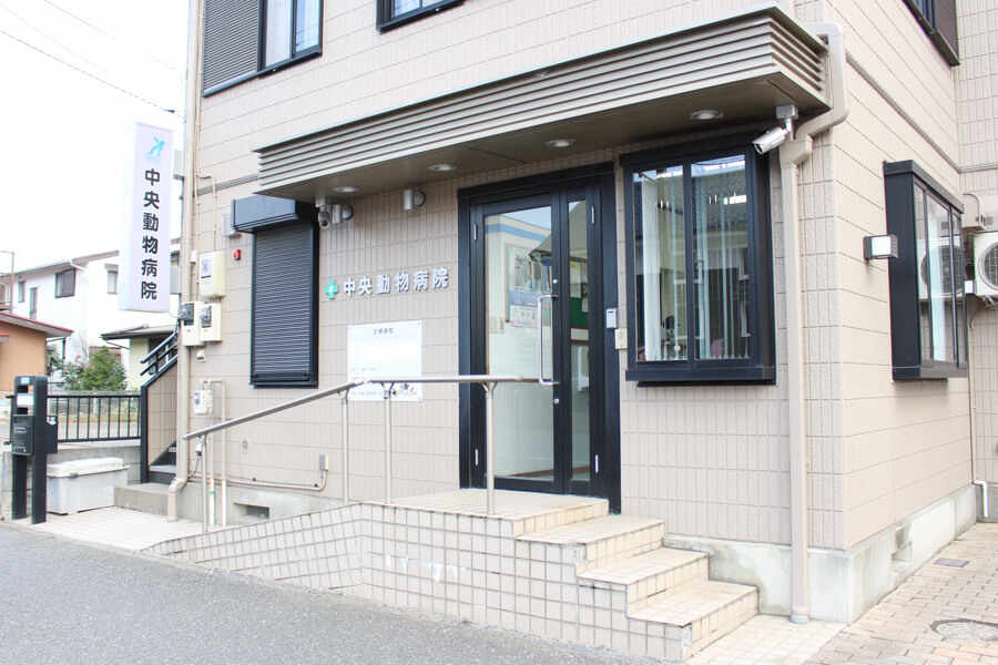 狭山市で動物病院を探すなら おすすめ 4選 年更新 Petpet Life