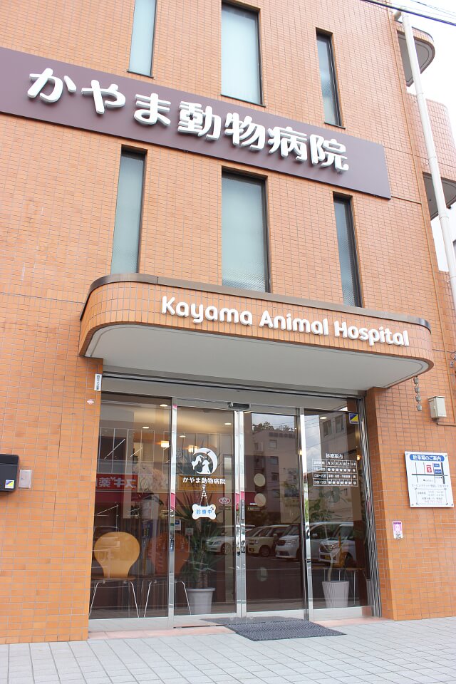 地域密着型の動物病院です