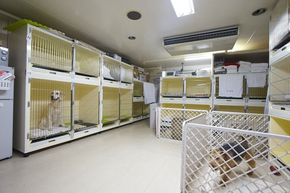 Dog Salon Mogoo ペットサロン トリミング 東京都目黒区 Eparkペットライフ