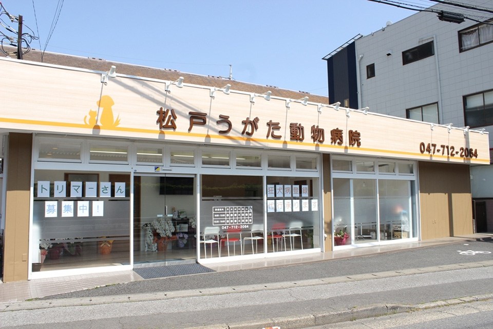 松戸うがた動物病院(トリミング)写真