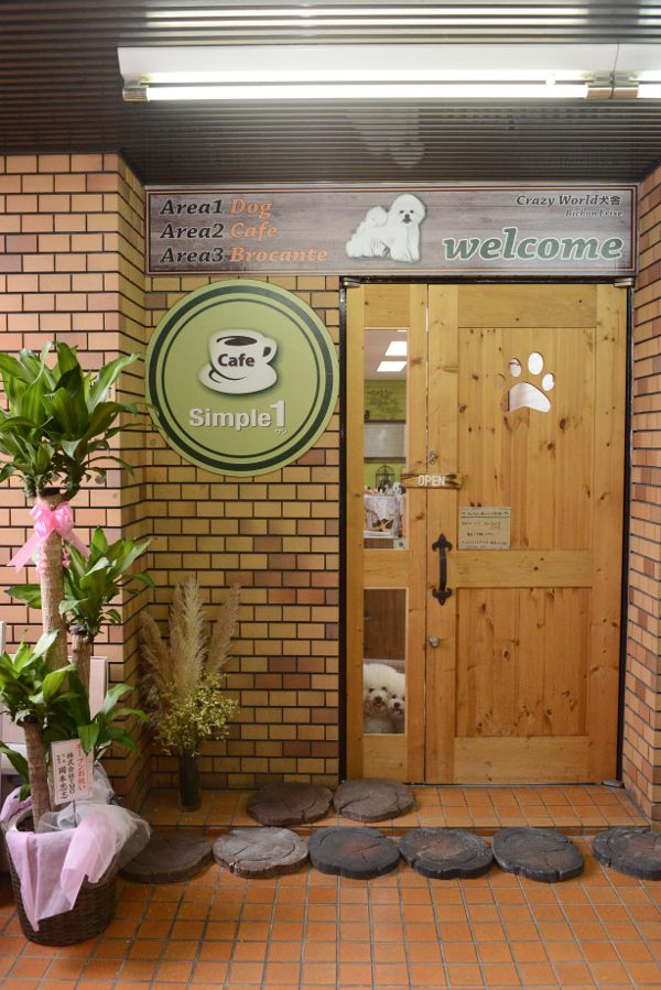 ドアのガラス面に注目(*‘ω‘ *)