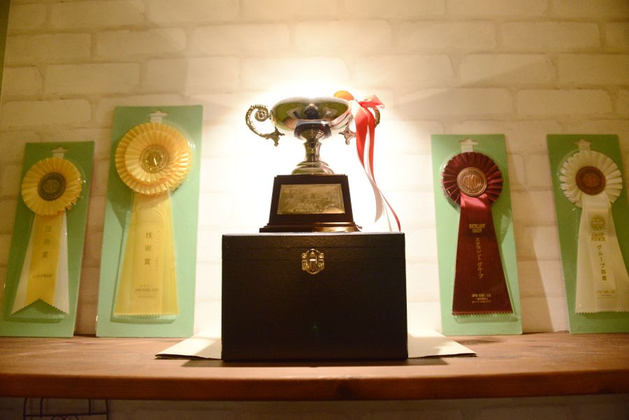 A級ライセンス獲得しています