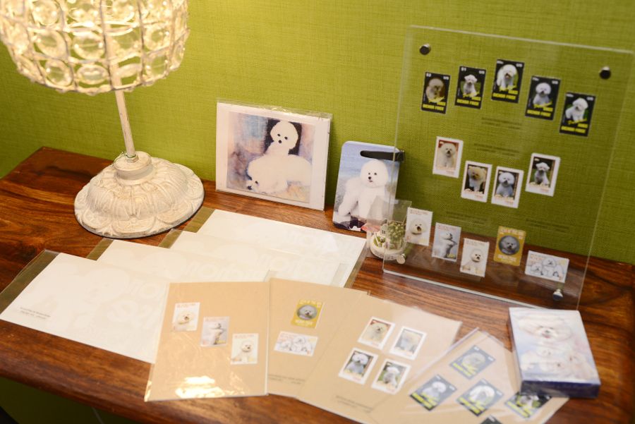 ビショングッズ(#^.^#)