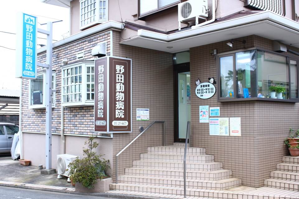 野田動物病院
