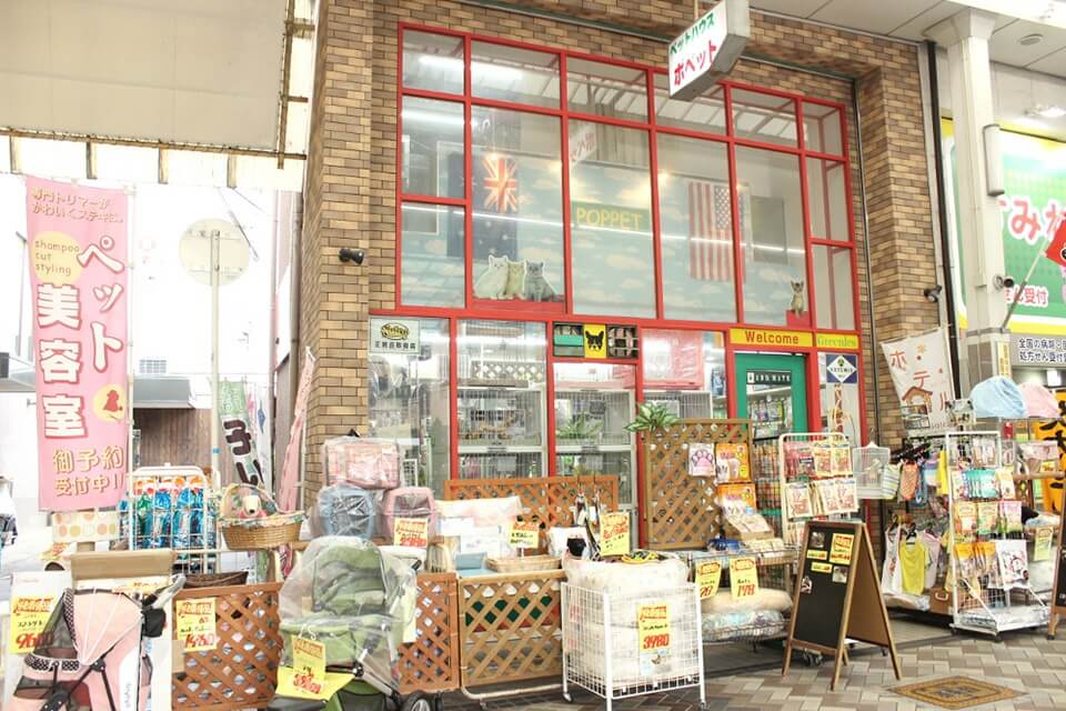 ペットハウス ポペット 池田本店 ホテル 大阪府池田市 Eparkペットライフ