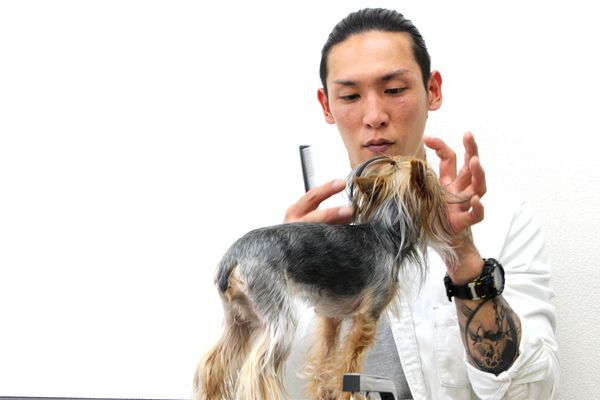 102 dogsalon