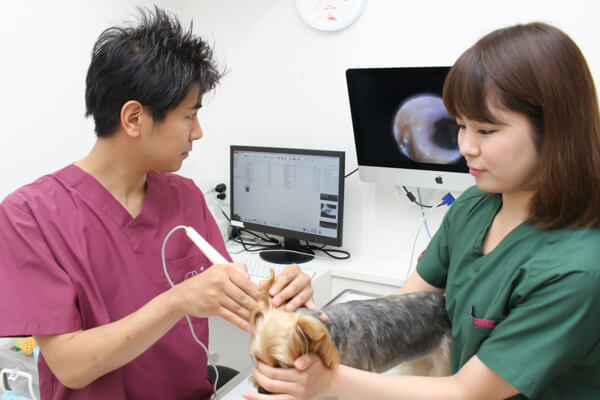 動物たちの僅かな変化も見逃しません