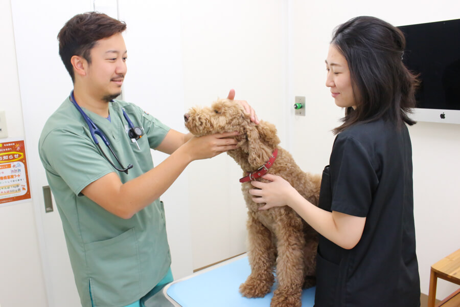 ライト動物病院