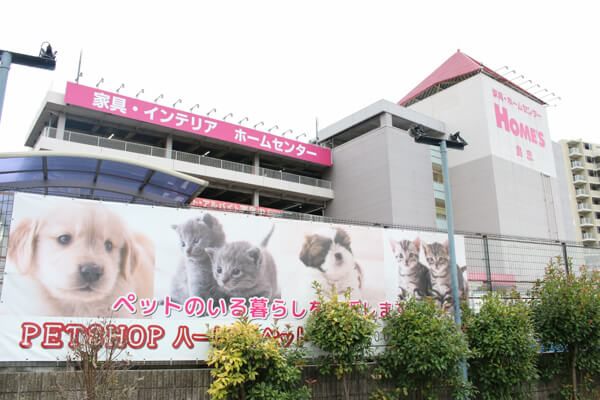 隅田川動物病院
