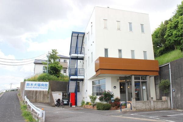 鈴木犬猫病院 ペットホテル 千葉県千葉市稲毛区 Eparkペットライフ