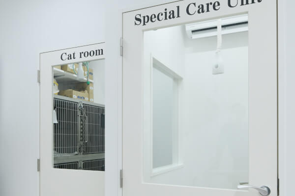 ネコちゃん専用入院室