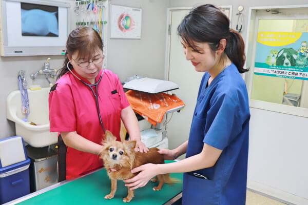 清田動物病院 神奈川県厚木市 Eparkペットライフ
