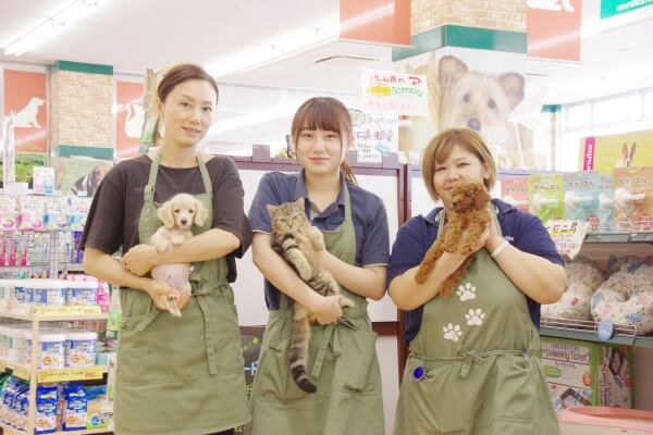 ペットショップノア 相模原橋本店 ペットホテル 神奈川県相模原市緑区 Eparkペットライフ