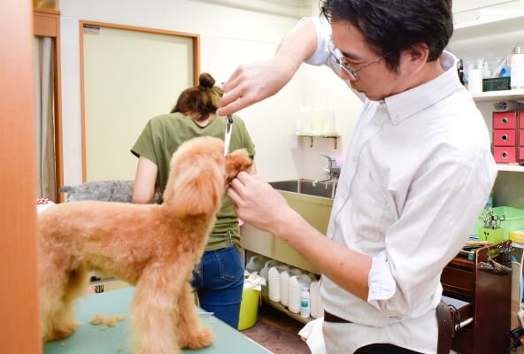 犬の床屋さん ゆず ホテル 京都府八幡市 Eparkペットライフ