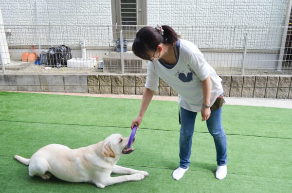 WITH DOG｜兵庫県神戸市西区｜EPARKペットライフ