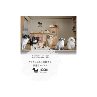 Dog salon WAAN/kobayashi