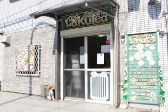 Dog salon La kule’a