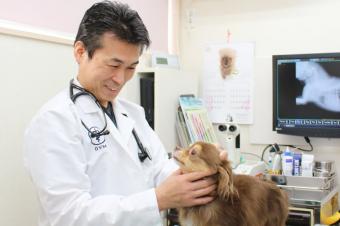 七里動物病院（VCAJapan動物病院グループ）