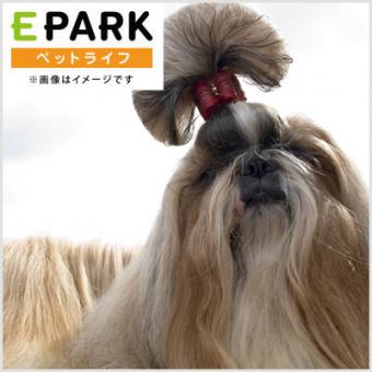 大阪市城東区で中型犬 中型犬のトリミング ペットサロン 15件 口コミ 写真多数 Eparkペットライフ