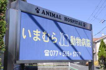 ホリスティックケアいまむら動物病院