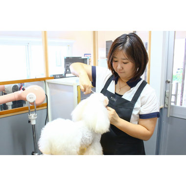 Dog care Salon IPPUDA